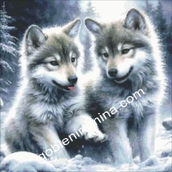 ДВЕ ВЪЛЧЕТА