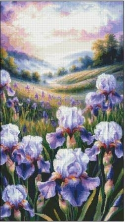 ИРИСИ В ПОЛЕТО