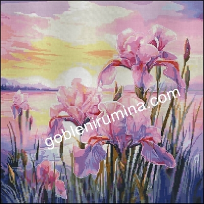 РОЗОВ ЗАЛЕЗ