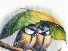 КАПЧИЦИ ЛЮБОВ