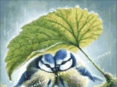 ДЪЖДОВНА РОМАНТИКА