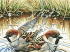 МЕЛОДИЯ ОТ ПРЪСКИ