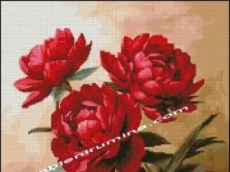 ЧЕРВЕНИ БОЖУРИ