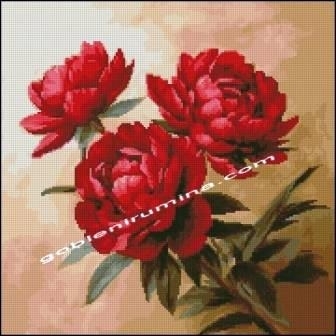 ЧЕРВЕНИ БОЖУРИ