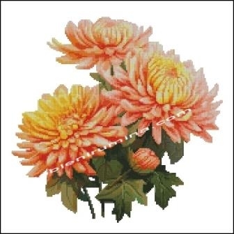 ХРИЗАНТЕМИ