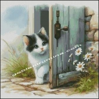 ЛЮБОПИТНО КОТЕ