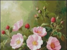 НАТЮРМОРТ С МАЛИНИ И ШИПКОВ ЦВЯТ