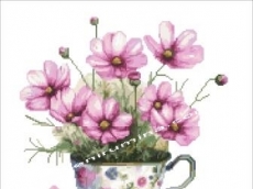 БУКЕТ В ЧАШКА