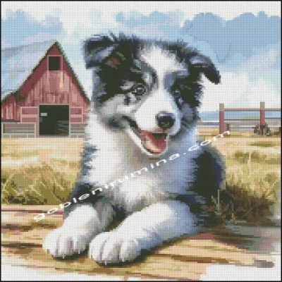 НАДЕЖНА ОХРАНА