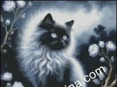 НОЩНА РАЗХОДКА