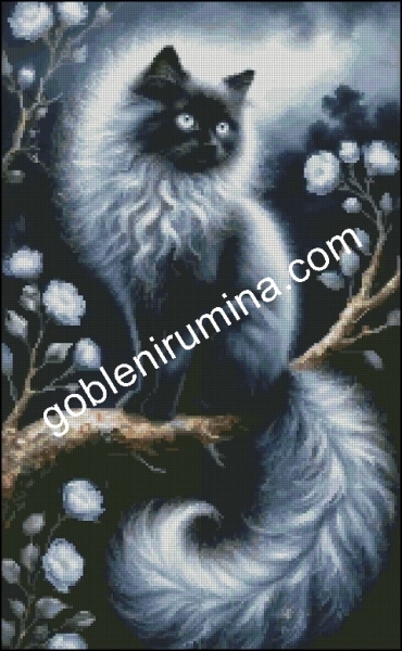 НОЩНА РАЗХОДКА