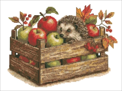 БОДЛИВ КРАДЕЦ