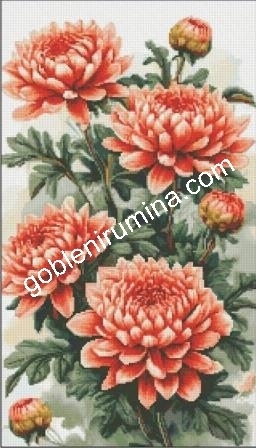 ХРИЗАНТЕМИ