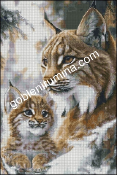 МАЙЧИНА ЗАКРИЛА