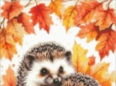 ТАРАЛЕЖЧЕТА