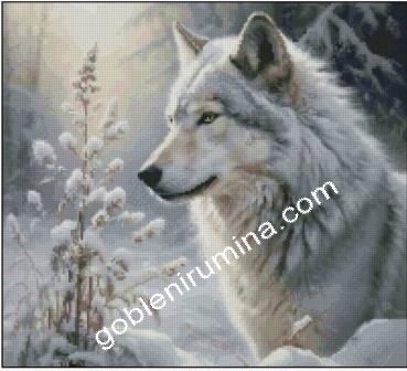 ПАЗИТЕЛ НА ГОРАТА