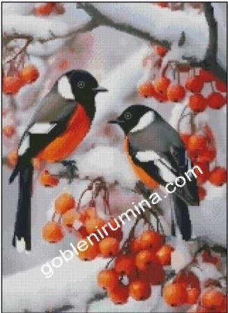 ПТИЧКИ ПРЕЗ ЗИМАТА