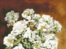 БУКЕТ С ФЛОКСИЯ