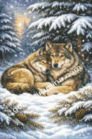 ВЪЛЧА ВЯРНОСТ