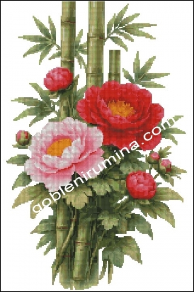 БАМБУК И БОЖУРИ