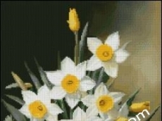 КОШ С НАРЦИСИ