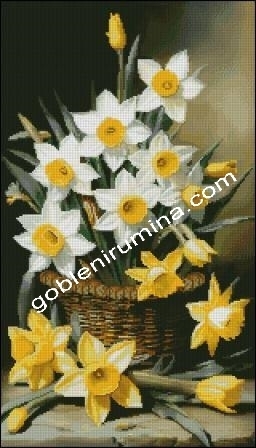 КОШ С НАРЦИСИ