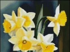 НАРЦИСИ В СТЪКЛЕН СЪД
