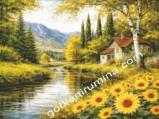 ЛЯТО КРАЙ РЕКАТА