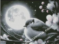 ПРОЛЕТНА НОЩ