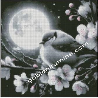 ПРОЛЕТНА НОЩ