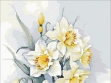 НЕЖНИ  НАРЦИСИ