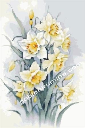 НЕЖНИ  НАРЦИСИ