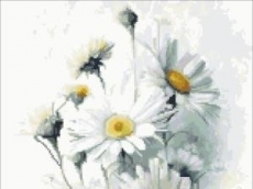 НЕЖНИ МАРГАРИТИ