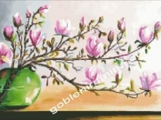 РОЗОВА НЕЖНОСТ