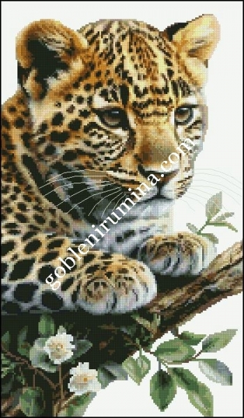 ЛЕОПАРД